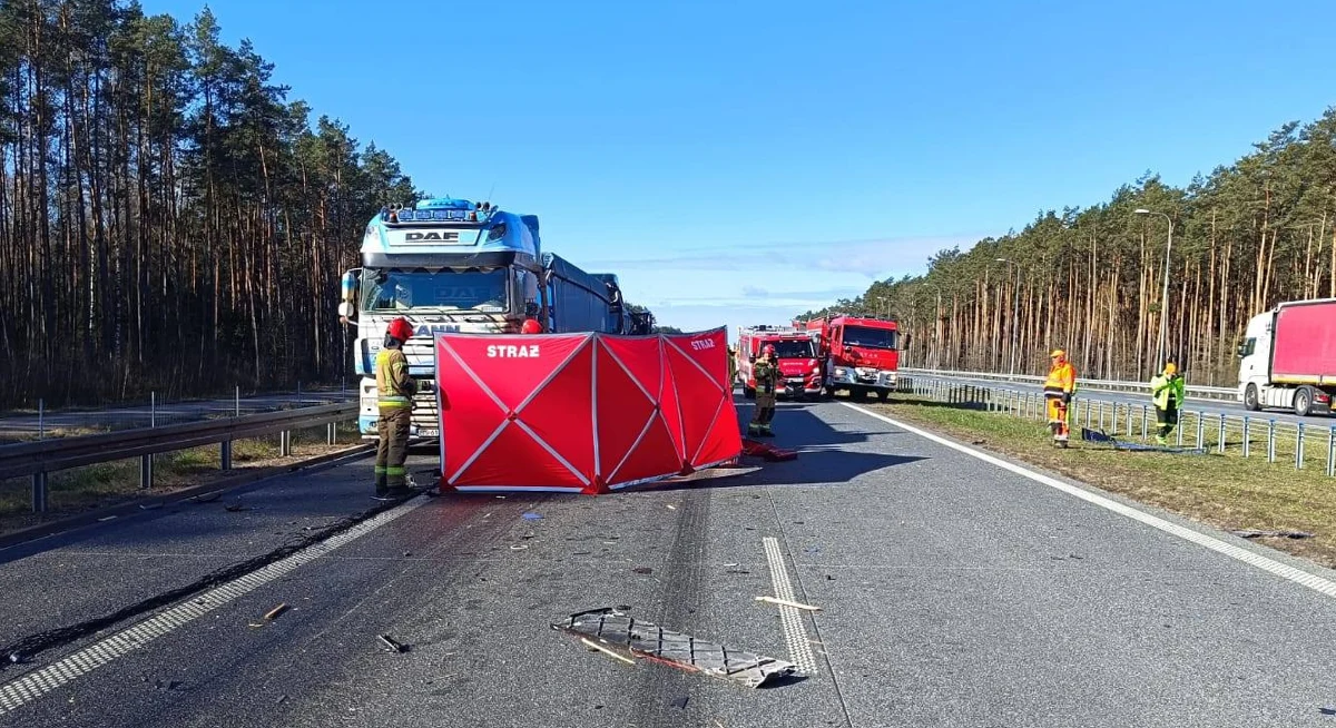 Droga S8 była zablokowana po wypadku, do którego doszło po południu w czwartek w miejscowości Knurowiec w pow. wyszkowskim (Mazowieckie). Zderzyły się tam dwie ciężarówki. To już drugi podobny wypadek z udziałem samochodów ciężarowych, który wydarzył się w czwartek na ekspresowej "ósemce" w tym rejonie. Rano zginęła tam jedna osoba.