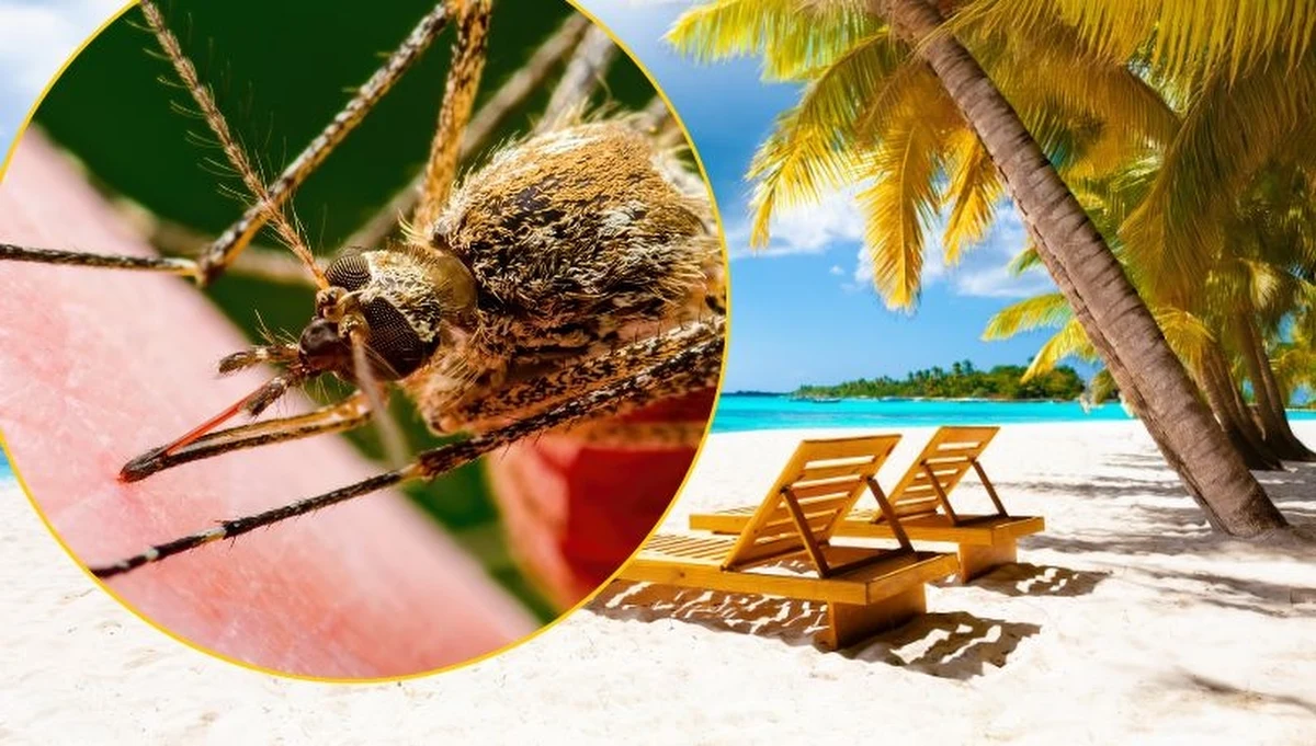 Mimo rosnącej popularności egzotycznych podróży, Polacy nadal bagatelizują zagrożenia zdrowotne. Najnowsze badania pokazują, że tylko połowa z nas decyduje się na zalecane szczepienia przed wyjazdem do krajów tropikalnych.