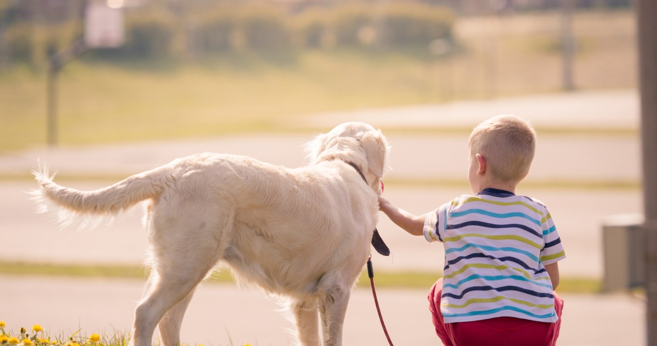 Psy asystenci. Jak wpływają na życie dzieci z autyzmem?