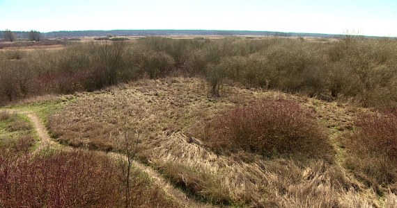 Wielki pożar nad Biebrzą. W akcji samolot gaśniczy