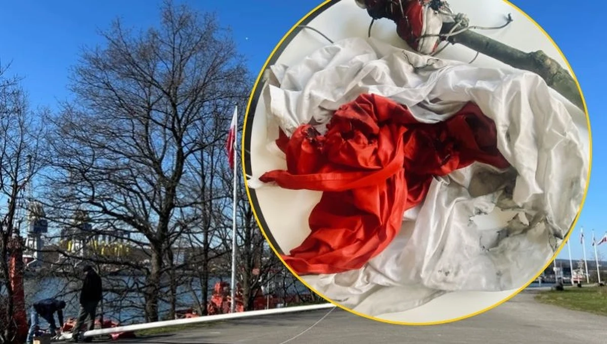 Pięć zarzutów usłyszał w sumie mężczyzna podejrzany o zniszczenie flag państwowych Rzeczypospolitej Polskiej na terenie Muzeum Westerplatte i Wojny 1939 w Gdańsku - podała prokuratura. Prokurator skierował wniosek o zastosowanie tymczasowego aresztowania wobec sprawcy. W piątek wieczorem sąd przychylił się do tego wniosku. 40-latek przyznał się do popełnienia zarzucanych mu czynów i złożył wyjaśnienia.