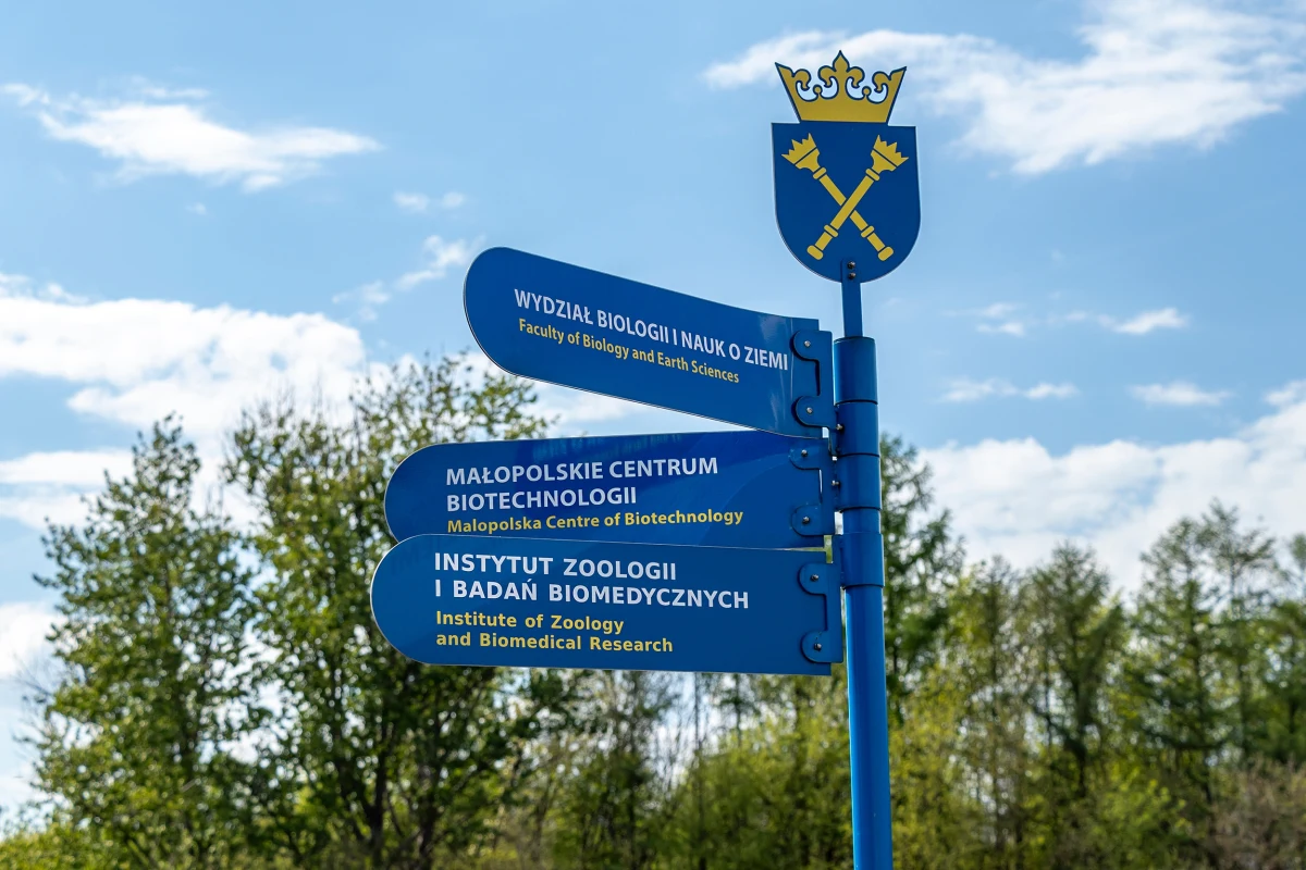 Dobrze zdana matura to połowa sukcesu. Przed wieloma maturzystami trudny wybór kierunku studiów, a co za tym idzie zawodowej przyszłości. Na jakie kierunki studiów młodzi Polacy decydowali się ostatnio najchętniej? Kiedy ruszają rekrutacje na uczelnie?