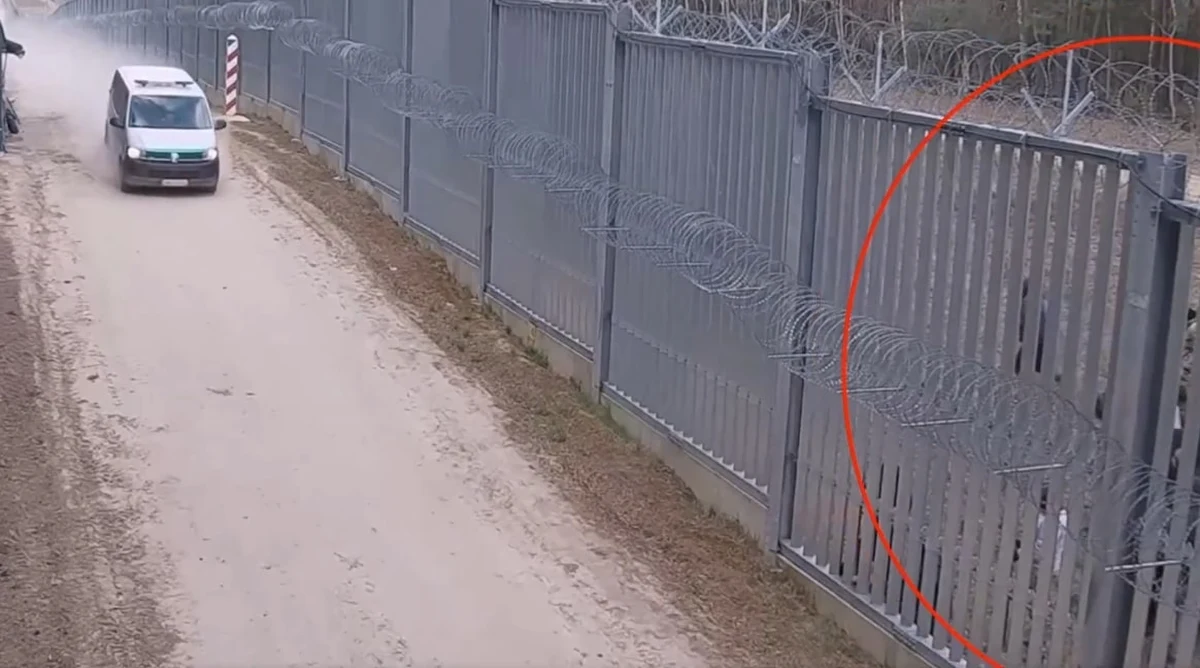 Kilkadziesiąt osób usiłowało sforsować zabezpieczenia na granicy polsko-białoruskiej w okolicy wsi Mielnik na Podlasiu. W stronę samochodu straży granicznej poleciały kamienie. Kamera wśród agresorów zarejestrowała funkcjonariusza białoruskiej służby. O sprawie poinformował Jacek Dobrzyński, rzecznik prasowy Ministerstwa Spraw Wewnętrznych i Administracji.