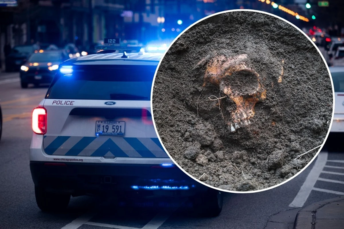 Na Florydzie rozegrała się historia niczym z najmroczniejszych zakamarków ludzkiej wyobraźni. Mieszkanka tego stanu, 52-letnia współwłaścicielka sklepu z antykami, została zatrzymana pod zarzutem handlu ludzkimi kośćmi. Kobietę zatrzymano w ramach trwającego od 2023 r. dochodzenia dotyczącego handlu ludzkimi organami i tkankami.