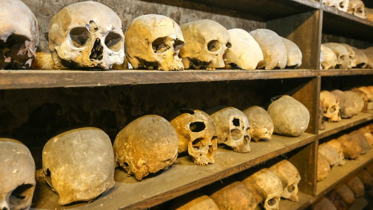 Sycylijski przedsiębiorca pogrzebowy postanowił rozszerzyć znacznie swoją działalność. Zamiast chować zmarłych, zaczął wydawać zgodę na ich odkopanie, a "zwolnione" w ten sposób miejsca na cmentarzu ofiarował nowym nabywcom. Proceder był wymagający. Przedsiębiorca współpracował z zakładami, by przeprowadzać błyskawiczne pochówki i ekshumacje, a jak wykazano w toku policyjnego śledztwa, trudnił się też kradzieżą biżuterii oraz sprzedawaniem złożonych na cmentarzu kwiatów lokalnym kwiaciarniom. Nazywał to "kawą dla grabarza".