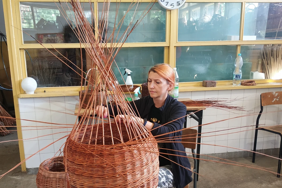 Łowicz może wkrótce pochwalić się miejscem na prestiżowej liście niematerialnego dziedzictwa kulturowego UNESCO. Wniosek dotyczący wyjątkowej sztuki ręcznie wyplatanych koszyków już czeka na rozpatrzenie.