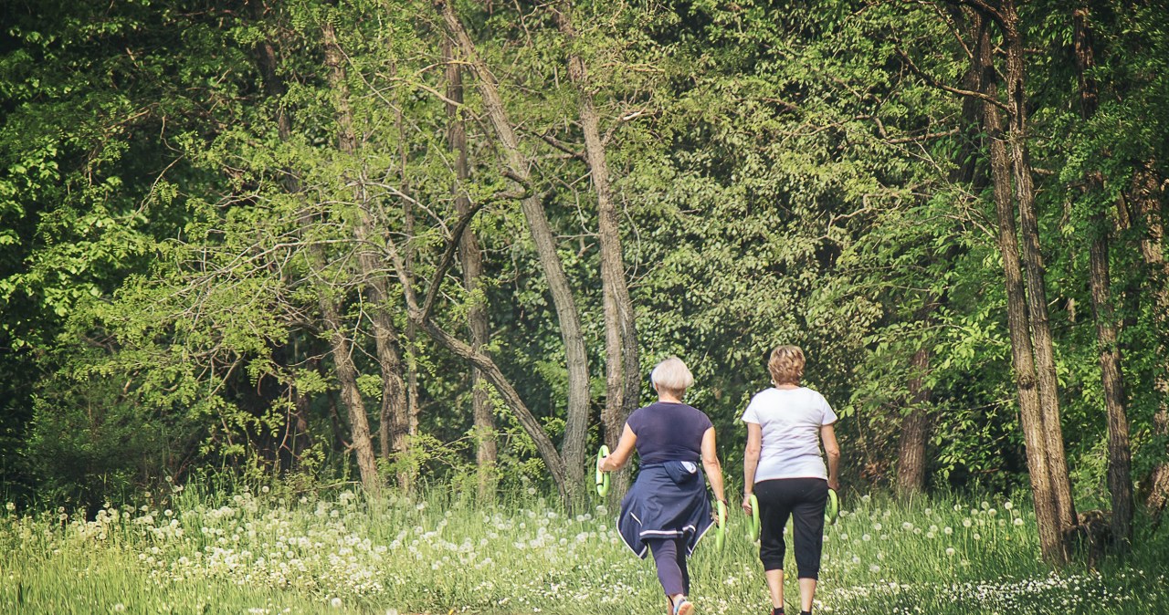 Zaskakujące wyniki badań. Wolne spacerowanie spala więcej tłuszczu