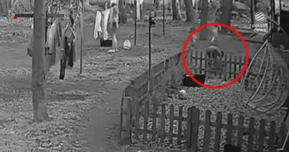 "Wydarzenia": Dzieci znęcały się nad psem. Matka stała obok i nie reagowała