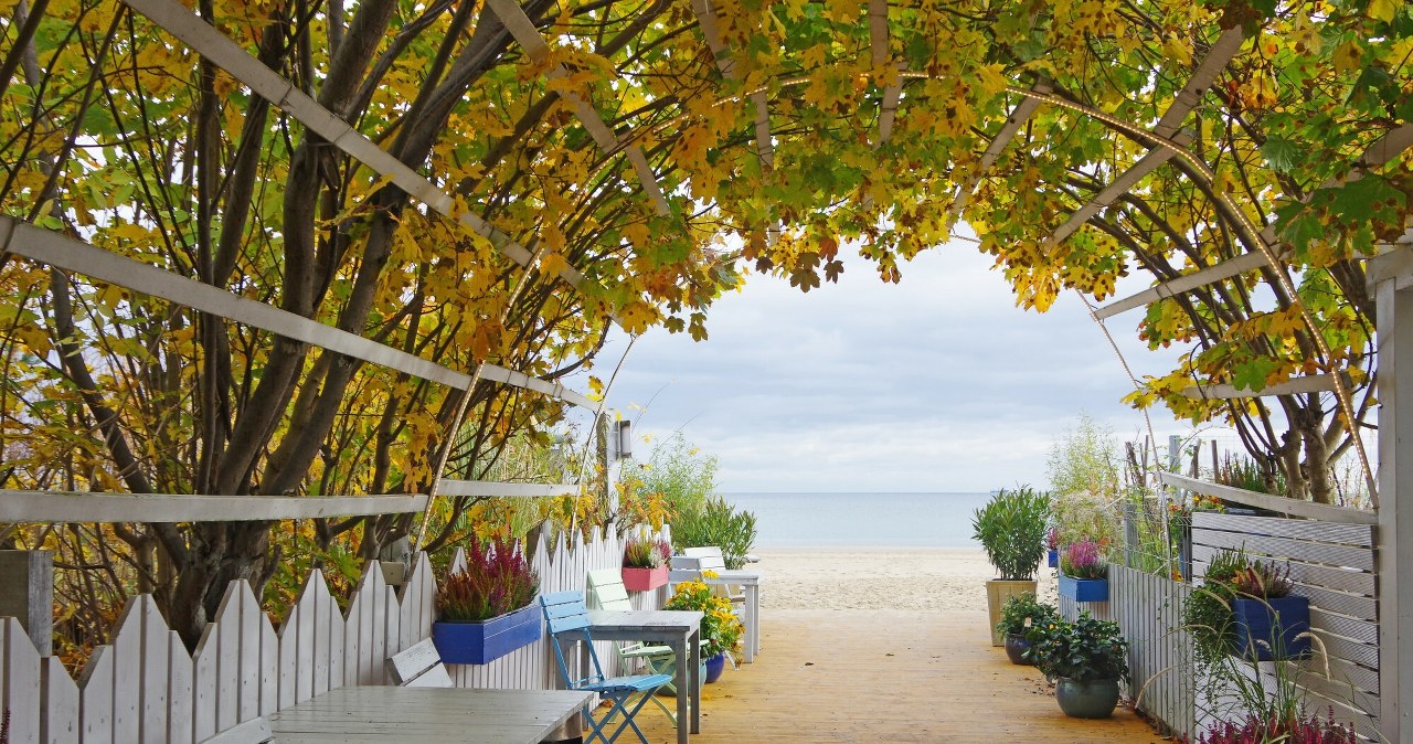 O tych restauracjach w Trójmieście wiedzą tylko lokalni. Jest pysznie!