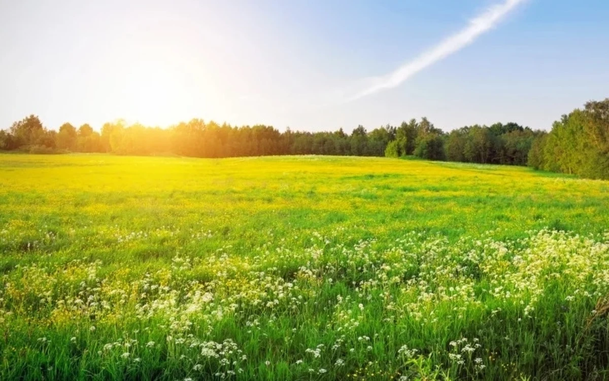 Znakomite wieści pogodowe tuż przed Wielkanocą. W wielu regionach Polski temperatura będzie nas rozpieszczać. Termometry pokażą nawet 28 stopni Celsjusza.