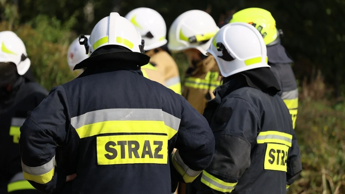 Strażackie specjalistyczne grupy poszukiwawczo-ratownicze z całej Polski ćwiczą w Gdańsku, jak należy pomagać osobom poszkodowanym przez trzęsienie ziemi. "Scenariusz tego ćwiczenia zakłada, że mamy fikcyjne państwo Pomerania, w którym doszło do trzęsienia ziemi. Ze względu na brak możliwości poradzenia sobie z sytuacją własnymi siłami ratowniczymi, państwo poprosiło o pomoc międzynarodową" - przekazał st. bryg. Michał Langner z Komendy Głównej PSP.