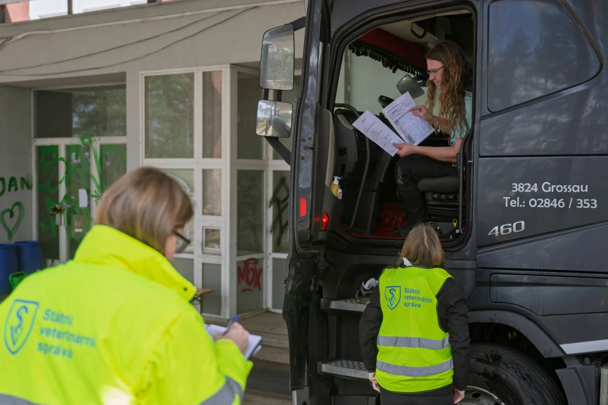 Na Węgrzech i Słowacji pojawiły się sugestie, że trwające problemy z pryszczycą, wysoce zaraźliwą chorobą, mogą być związane z bioterroryzmem – donosi Politico. Nie ma na to jednak żadnych dowodów naukowych.