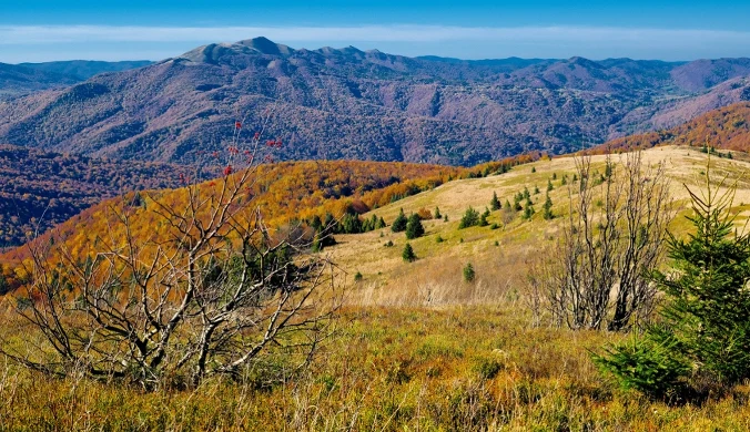 Na Podkarpaciu powstał nowy rezerwat. Rozciąga się na długości sześciu kilometrów