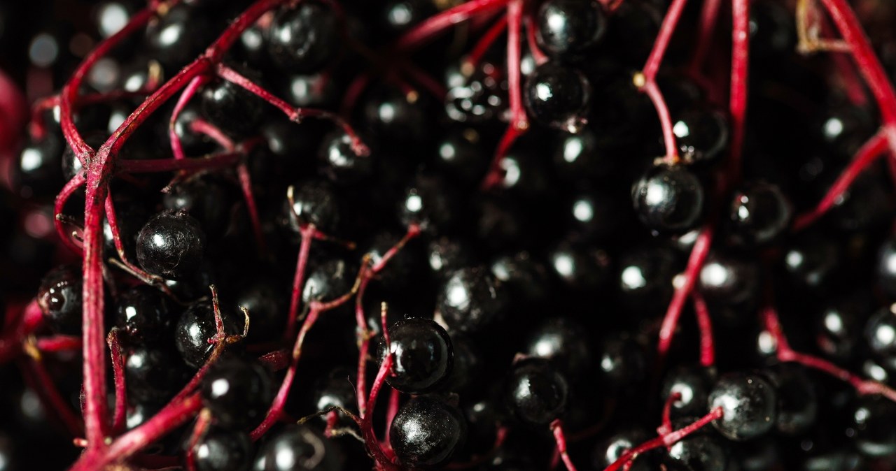 Możliwe, iż masz je w spiżarni. Mózg, serce i jelita będą pracować za dwoje