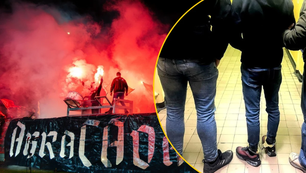 Dwaj pseudokibice Polonii Bytom wpadli w ręce śląskiej policji z blisko 24 kilogramami marihuany. Narkotyki przewozili samochodem osobowym, zatrzymanym do rutynowej kontroli na jednej z bytomskich ulic. Obaj mężczyźni zostali tymczasowo aresztowani. Grozi im do 10 lat więzienia.