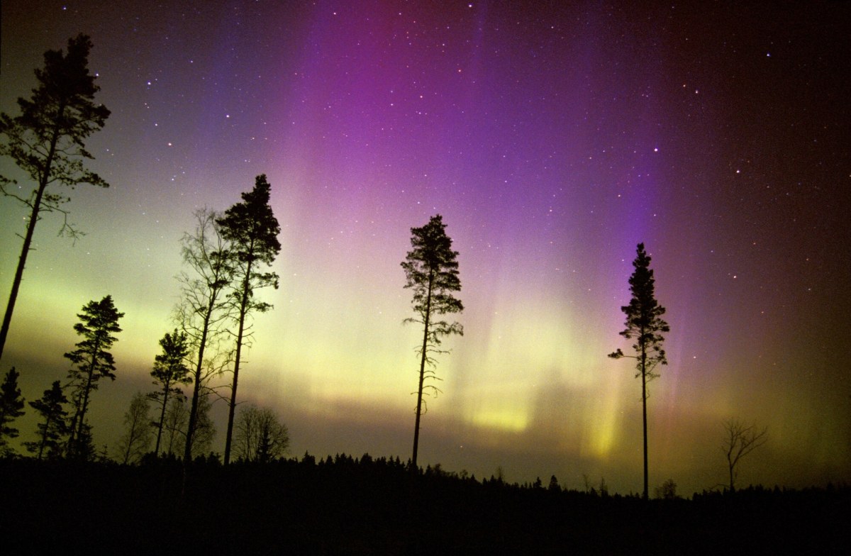 Wyjątkowy spektakl na niebie. Zorza polarna nad Polską