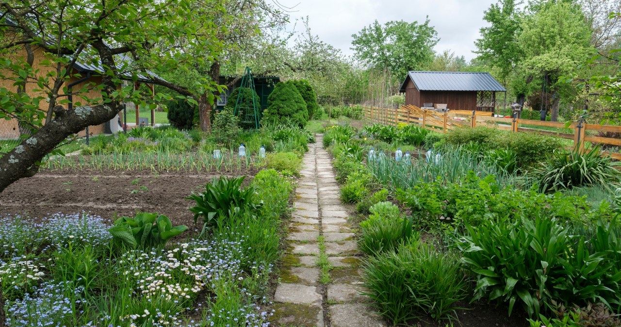 Szopa na narzędzia. Kiedy jest samowolą budowlaną? Limity i kary