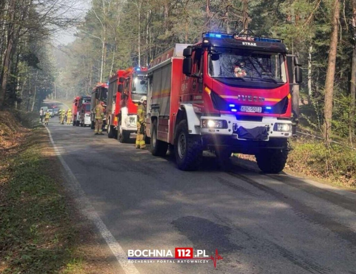 Duży pożar lasu w Małopolsce. "Akcja jest dynamiczna"