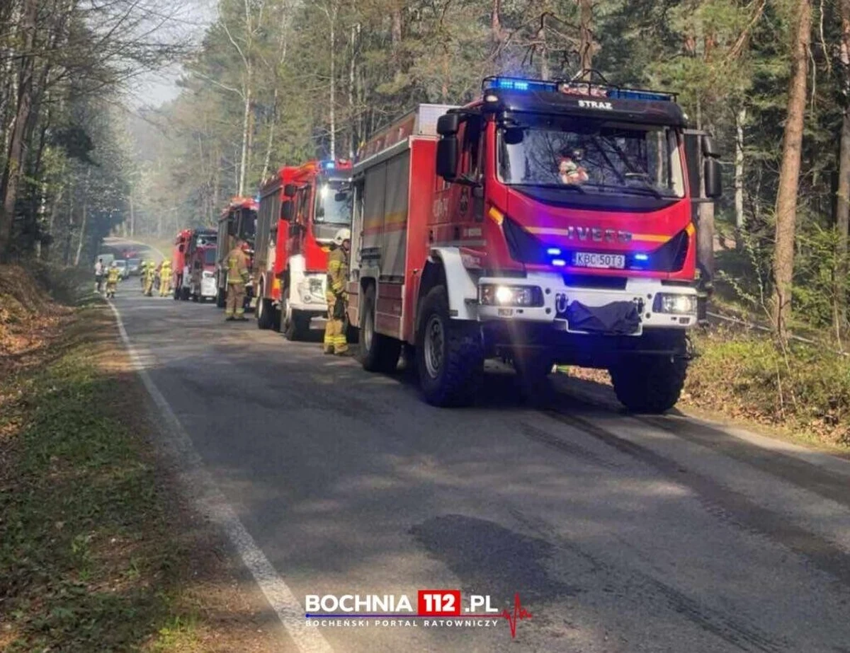 Do dużego pożaru lasu w rejonie Lipnicy Górnej w Małopolsce doszło w czwartek. Z ogniem walczyło ponad 120 strażaków.