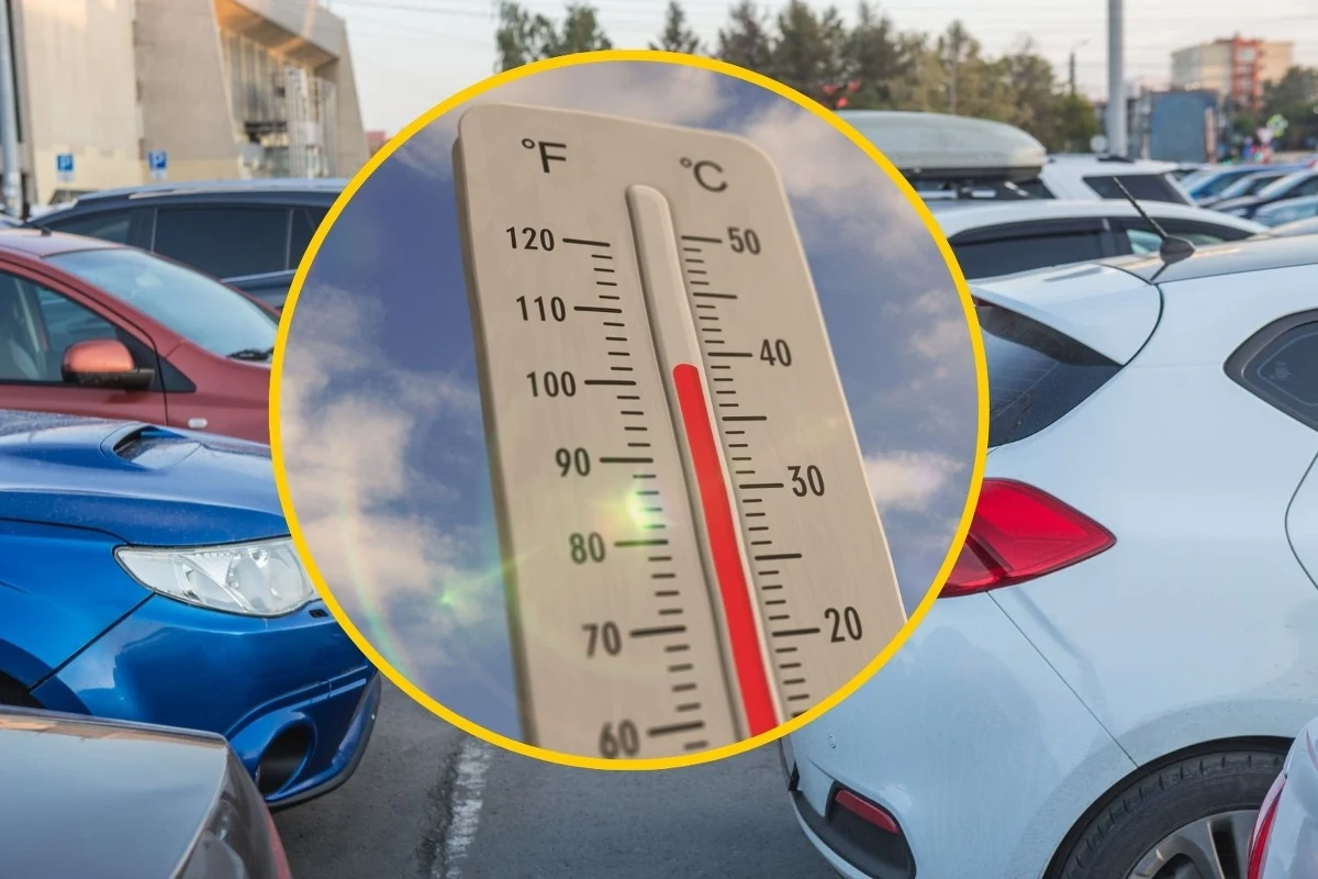 Sędzia Sądu Rejonowego w Toruniu zostawiła w aucie 85-letnią matkę. Interweniujący policjant musiał wybić szybę, aby uwolnić seniorkę, która następnie trafiła do szpitala. Toruńska prokuratura złoży wniosek o wyłączenie z badania sprawy celem zachowania bezstronności.