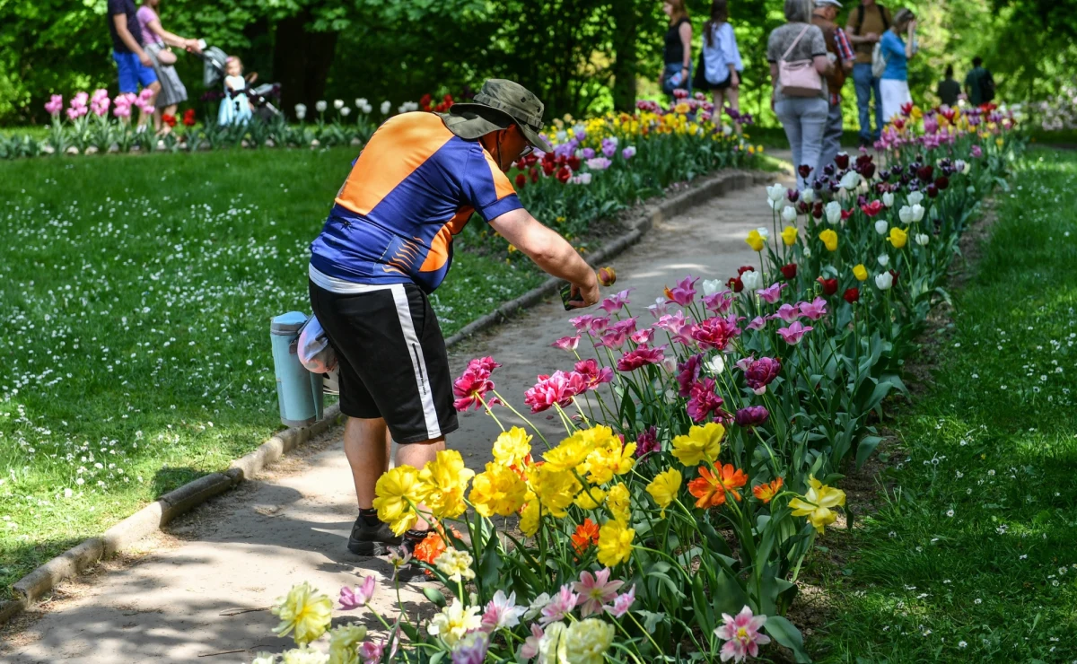 Po nietypowy sposób obrony przed złodziejami sięgnęli opiekunowie Ogrodu Botanicznego UMCS w Lublinie. Sposób nietypowy, bo tacy są też intruzi, których mają odstraszyć... instalacje z owczej wełny.