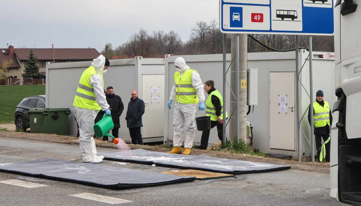 Wykryto kolejne ognisko pryszczycy. Alarm na Węgrzech