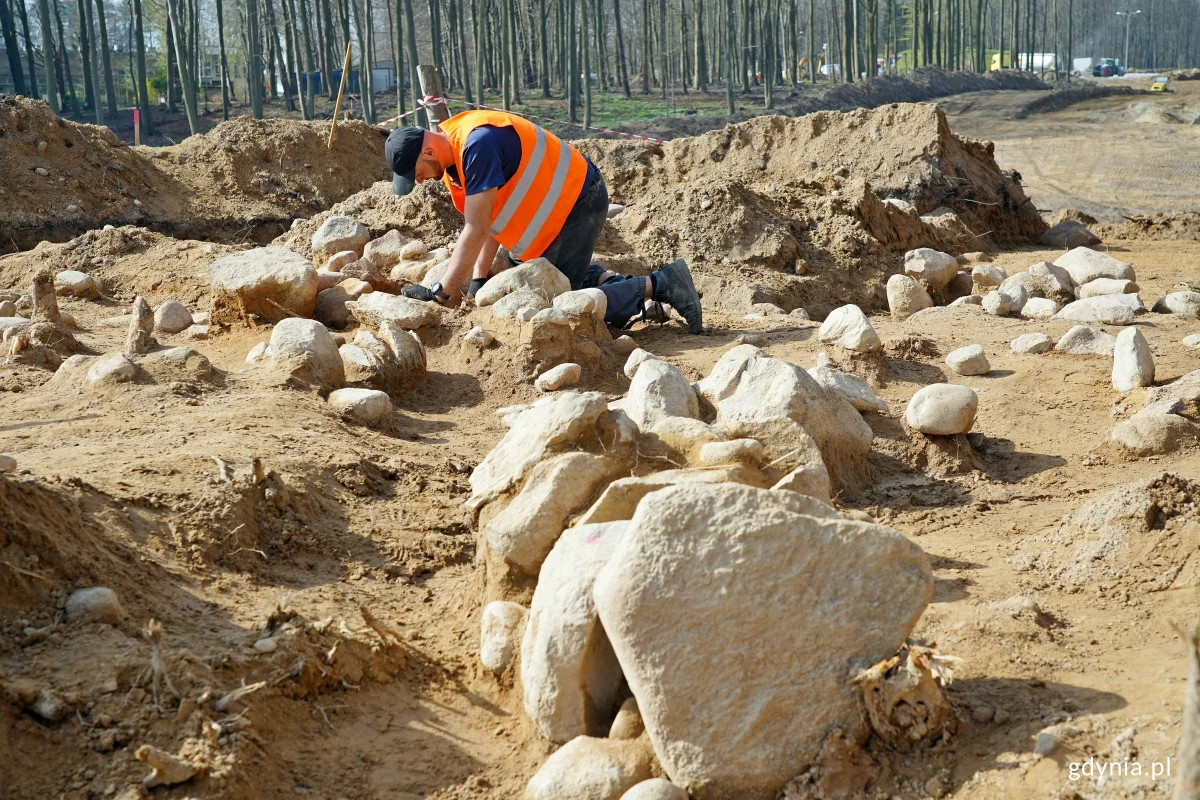 Prace archeologiczne przeprowadzane na terenie budowy obwodnicy Witomina w Gdyni przynoszą sensacyjne odkrycia. W lesie, na planowanej trasie drogi, archeolodzy natrafili na trzy kurhany, czyli starożytne grobowce, które skrywały w sobie siedem grobów. Wśród znalezisk wyróżniają się groby jamowe i skrzynkowe, zawierające popielnice z resztkami kości, urnę twarzową, dary grobowe oraz elementy ceramiki. To pierwsze tak metodyczne badania kurhanów w historii Gdyni.