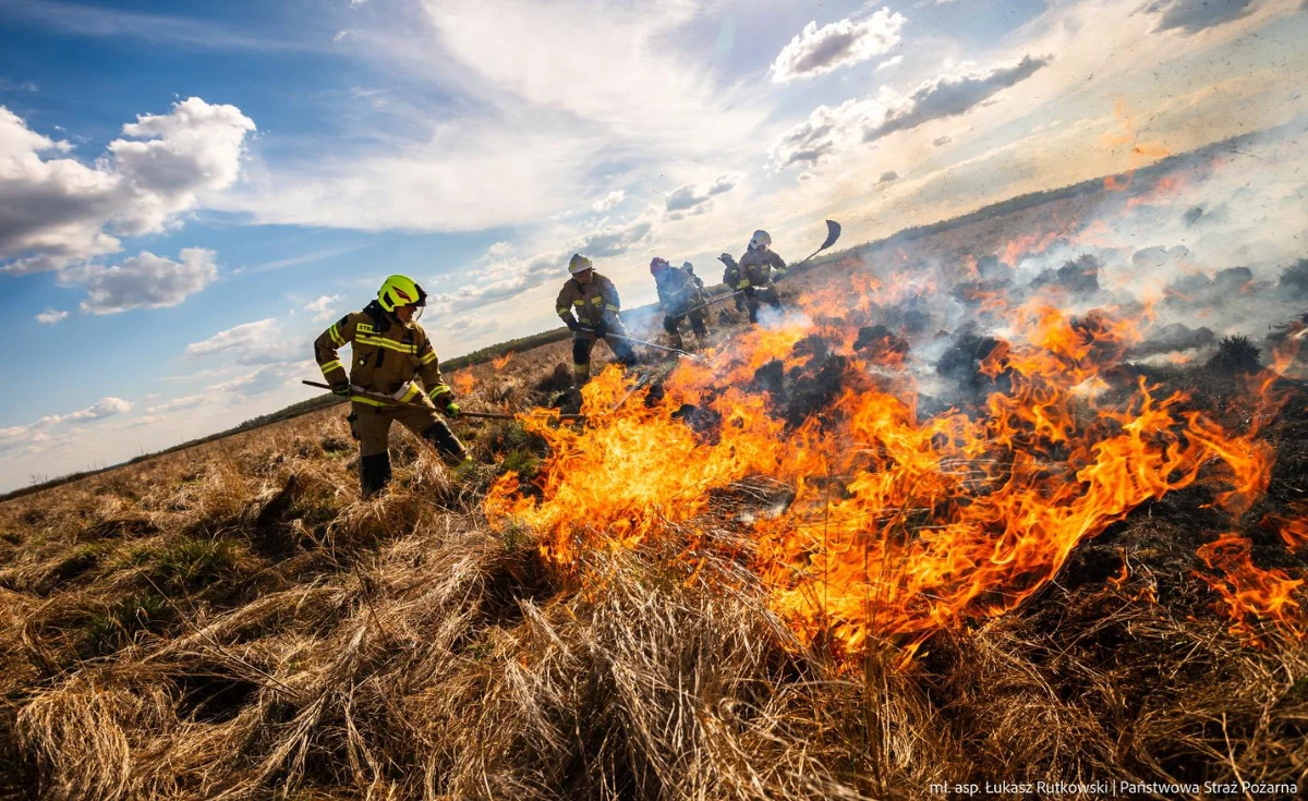 Ponad 150 strażaków gasi pożar suchych trzcinowisk w Biebrzańskim Parku Narodowym. Ogień wybuchł na styku powiatów augustowskiego i monieckiego, w okolicach wsi Kopytkowo (woj. podlaskie). W akcji bierze udział śmigłowiec i samolot gaśniczy. Wojewoda podlaski podał, że spłonęło już ponad 60 hektarów traw i trzcinowisk. Do mieszkańców trzech powiatów wysłano alert RCB.