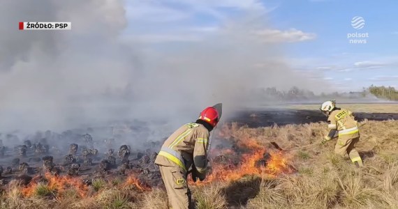 "Wydarzenia": Pożar parku narodowego. "Nie wierzę, iż to było samoczynnie"