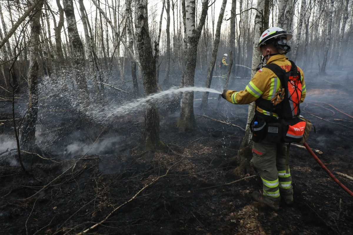 Strażacy wciąż walczą z pożarem w Biebrzańskim Parku Narodowym. Jak przekazali po południu, sytuacja jest stabilna, a ogień nie rozprzestrzenia się. Policja pod nadzorem prokuratury zabezpiecza dowody na potrzeby śledztwa, którego celem będzie wyjaśnienie okoliczności tego zdarzenia. 