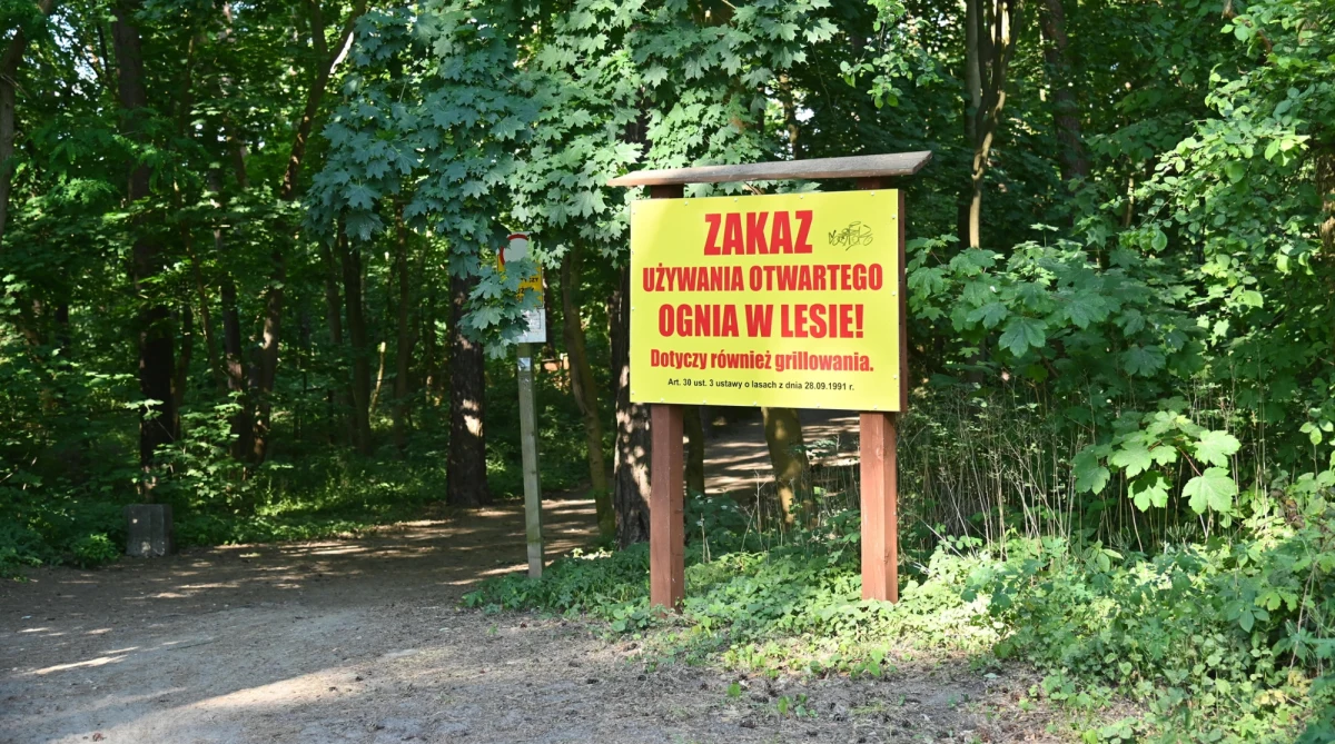 "Jeśli faktycznie nie będziemy mieć do tego okresu jakichś intensywniejszych opadów deszczu, to może być taka sytuacja" - powiedział wiceszef MSWiA Wiesław Leśniakiewicz, pytany o możliwość zamykania lasów podczas majówki w związku z potencjalnym wysokim zagrożeniem pożarowym. Gość internetowego Radia RMF24 wyraził jednak nadzieję, że "pobudzenie przyrody", w tym porost świeżej trawy zminimalizuje zagrożenie.