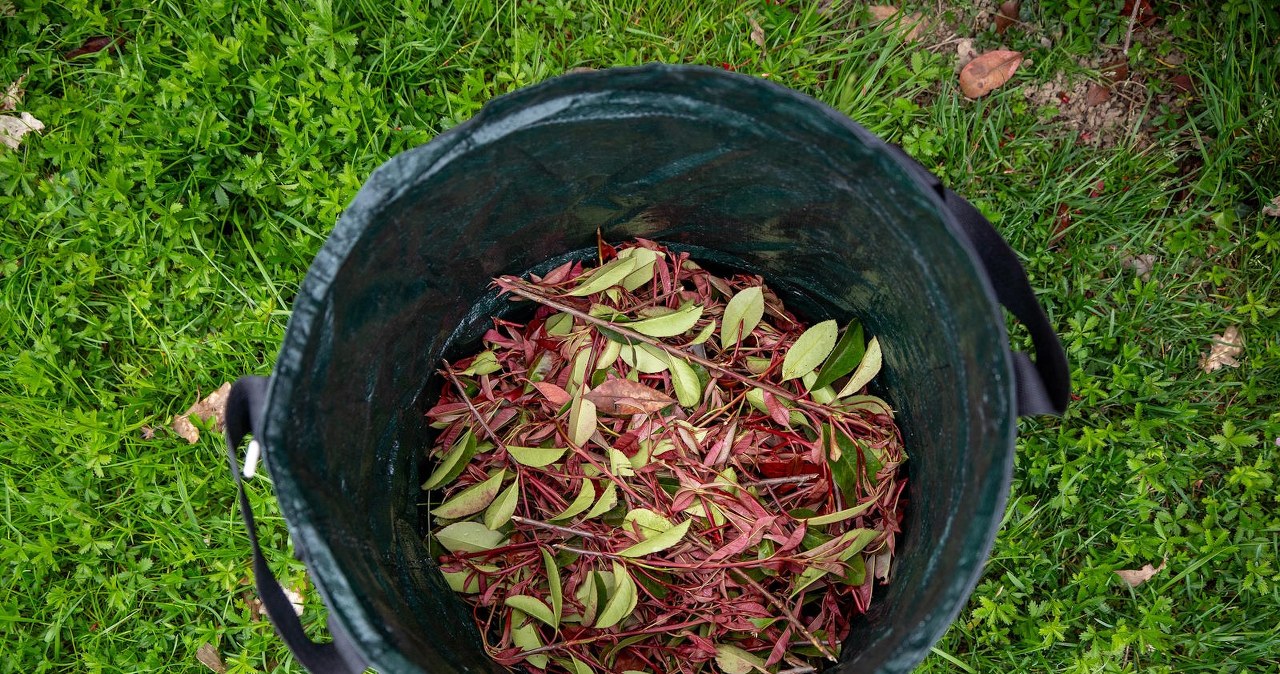 Jak zadbać o swój trawnik przed upalnym latem?