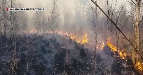 "Wydarzenia": Wielki pożar opanowany. Czas na liczenie strat