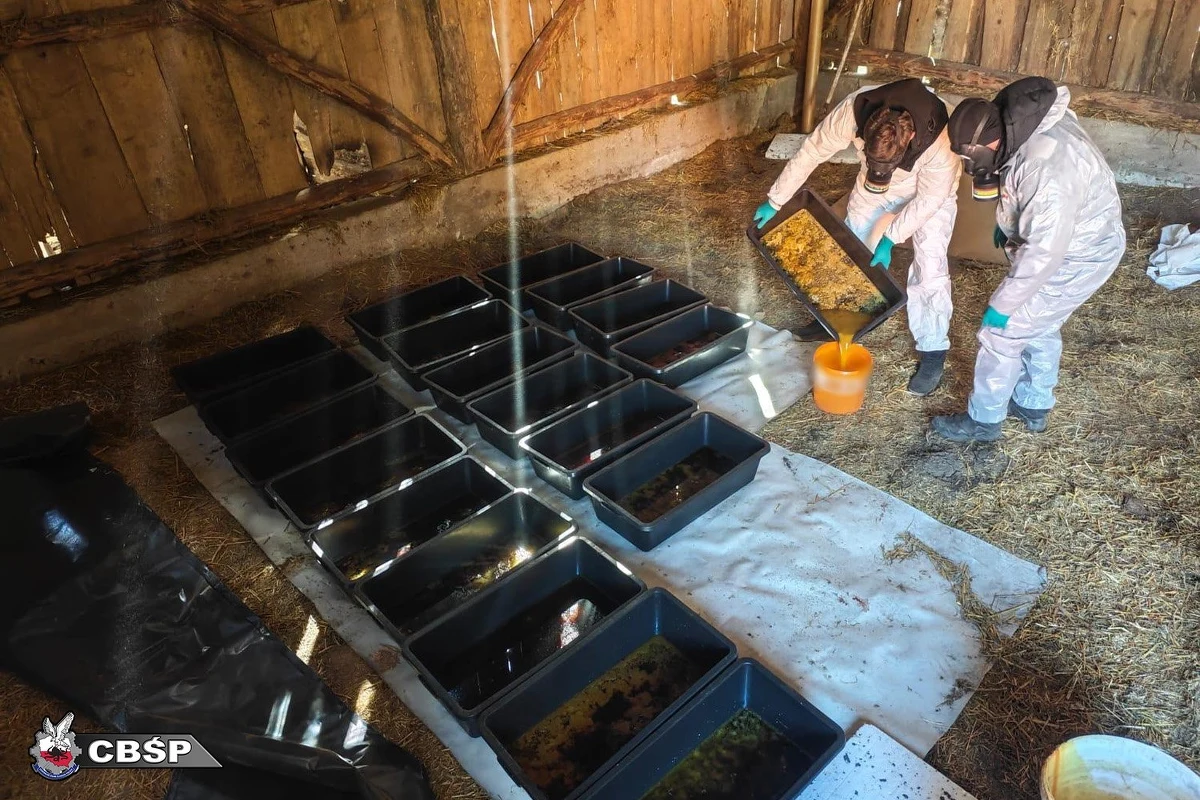 Narkotyki o czarnorynkowej wartości 6 mln złotych przejęli policjanci Centralnego Biura Śledczego Policji z Łodzi, którzy na Podlasiu zlikwidowali nielegalną wytwórnię klofedronu - silnego i niebezpiecznego środka psychotropowego.   