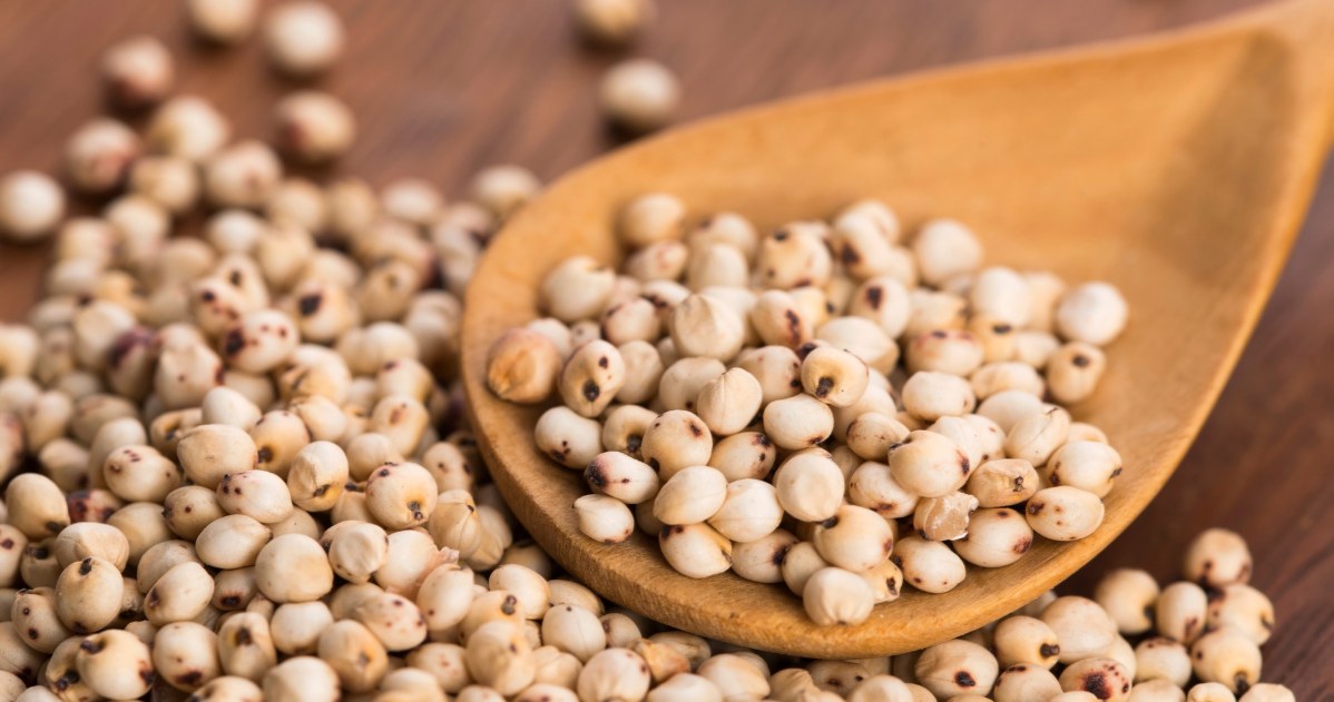 Zastąpi kaszę gryczaną, ziemniaki czy ryż. Pomaga chudnąć, obniża poziom cholesterolu