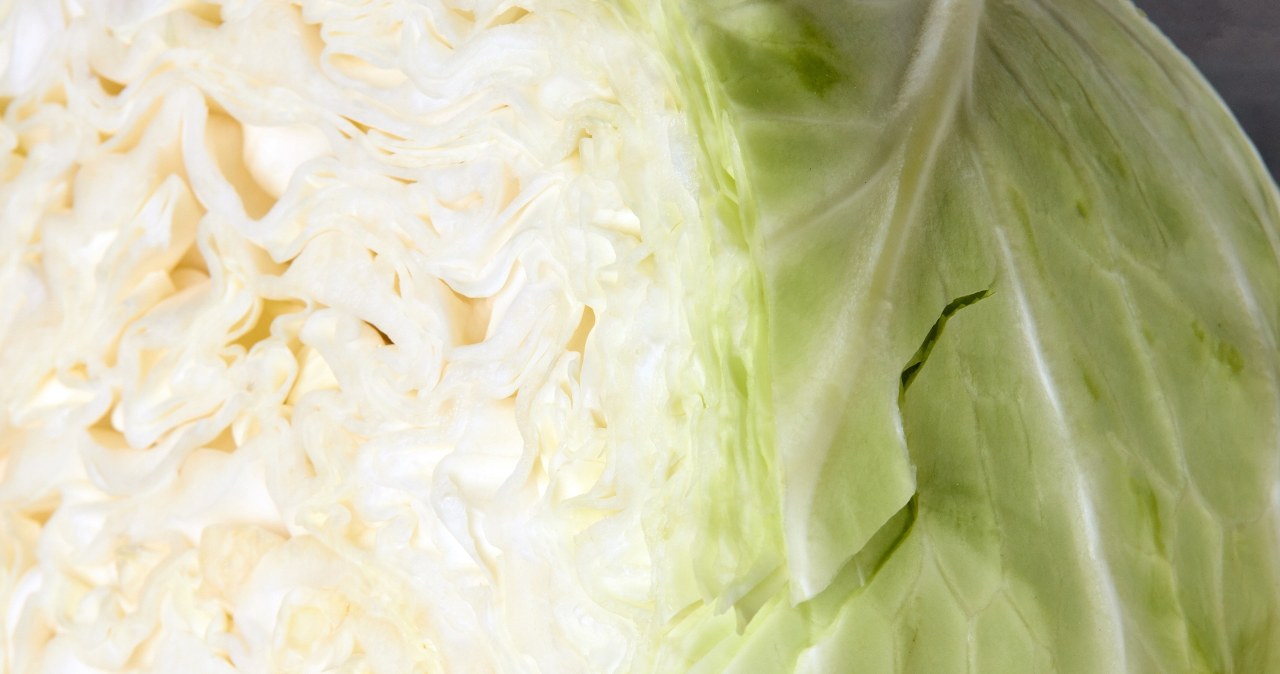 Nie ignoruj głąba, tylko bierz na talerz. Zdziwisz się, co oferuje