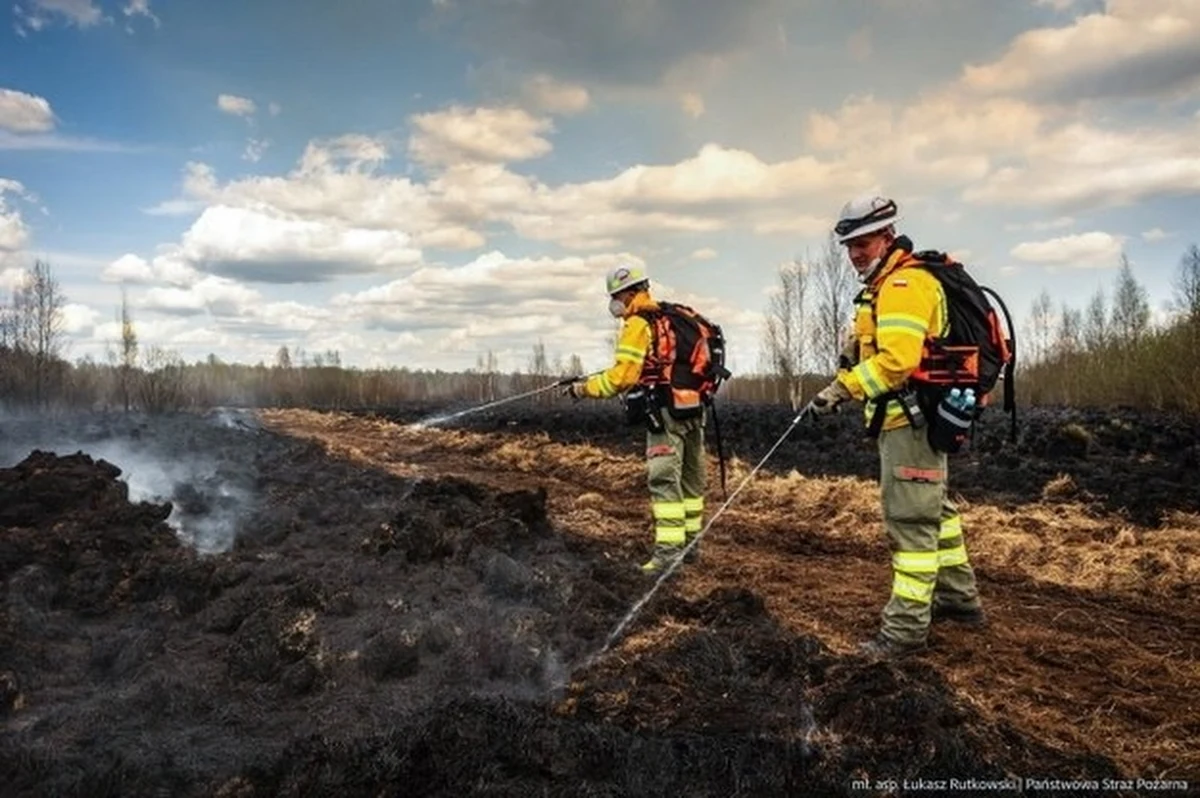 Ponad 400 hektarów spalonych cennych przyrodniczo terenów, wielodniowe dogaszanie i śledztwo pod nadzorem prokuratury okręgowej – to bilans pożaru, który wybuchł w Biebrzańskim Parku Narodowym. Sprawę badają śledczy, a policja apeluje o pomoc do świadków.