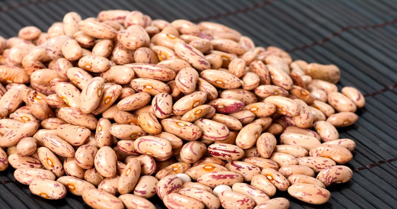 Fasola Aduke Azuki Pinto Groch Czarne Oczko terazgotuje.pl