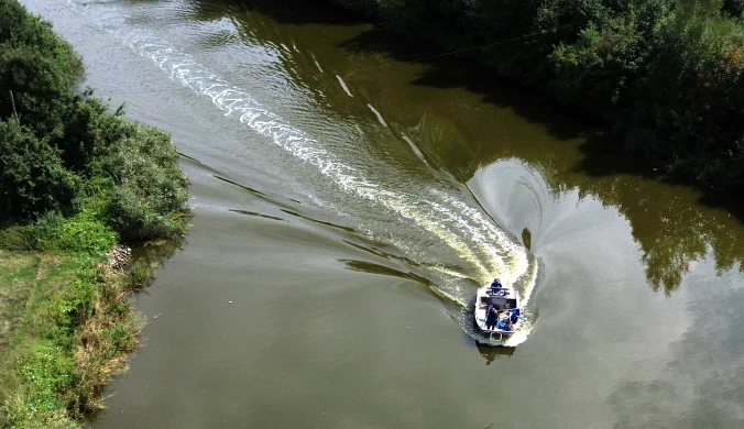 Wirus w Odrze i Kanale Gliwickim. Zbadano przypadki śnięcia ryb