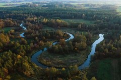 Królestwo mokradeł