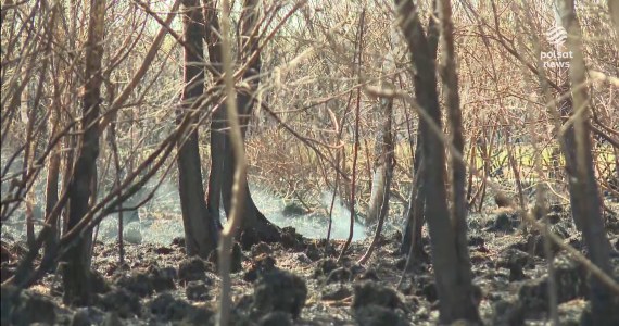 "Wydarzenia": Pożar w Biebrzańskim Parku Narodowym. Ruszyło śledztwo