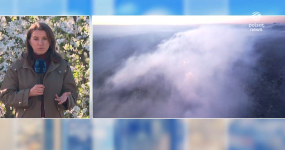 Rolnicy ratują swoje uprawy przed przymrozkami