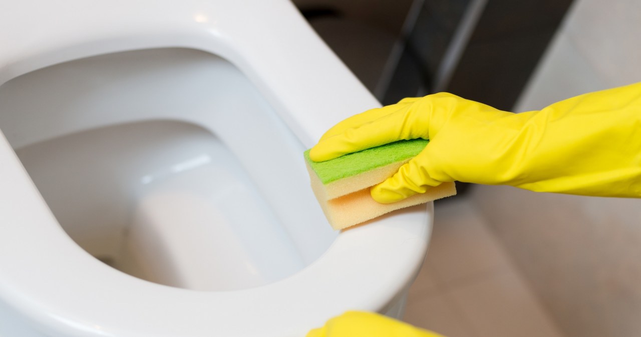 Wiele toalet ma ukrytą funkcję. Polacy nie wiedzą, a to dużo ułatwia