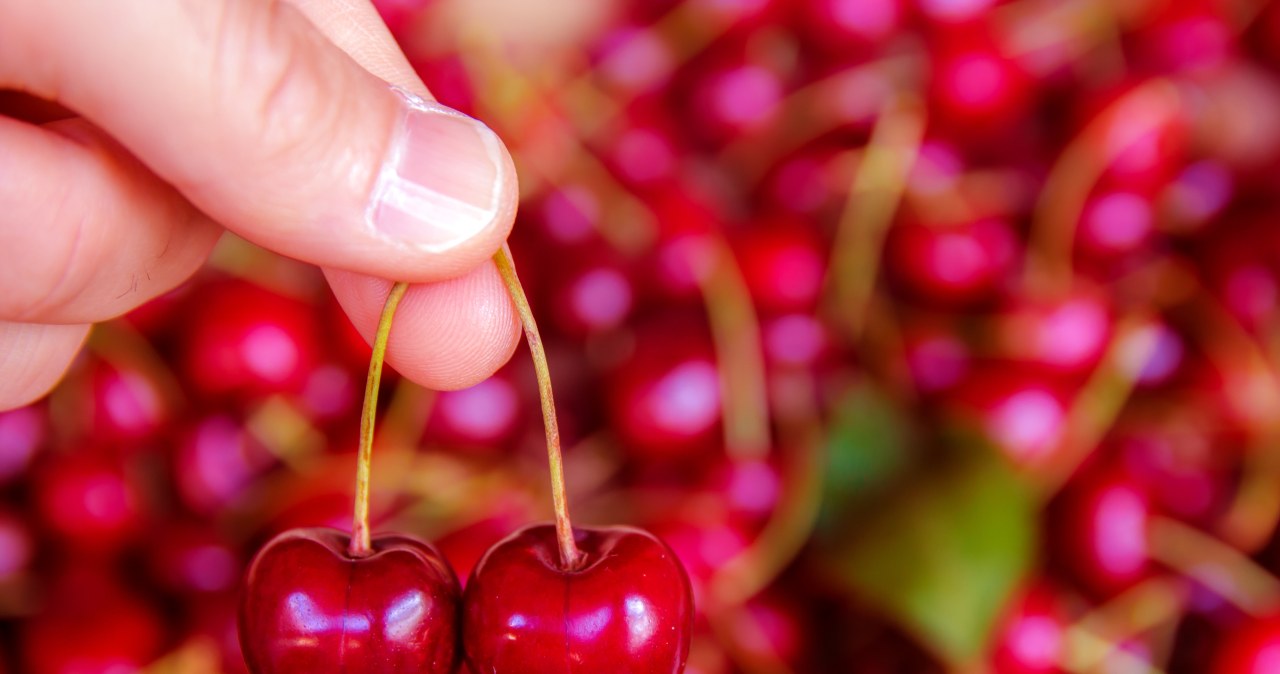 Nie musisz czekać do lata. Możesz mieć kosze owoców przed sąsiadem