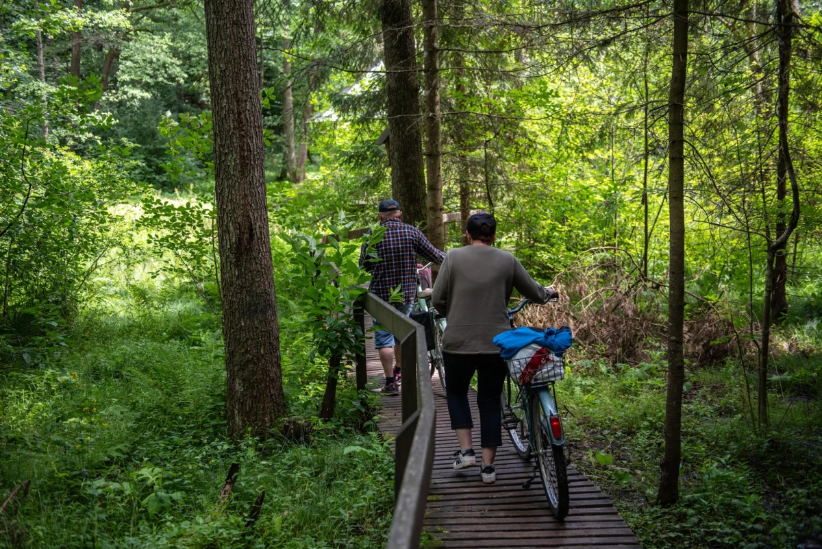 W pogodne weekendy wielu z nas decyduje się na wypoczynek w lesie. Trudno jednak relaksować się i beztrosko spędzać czas, mając świadomość, że w pobliżu może odbywać się polowanie. Czy w trosce o komfort i bezpieczeństwo Polaków resort klimatu planuje ograniczyć możliwość prowadzenia polowań w soboty i niedziele? Ten temat pojawił się w Popołudniowej rozmowie w RMF FM, której gościem był Mikołaj Dorożała - wiceminister klimatu i środowiska. 
