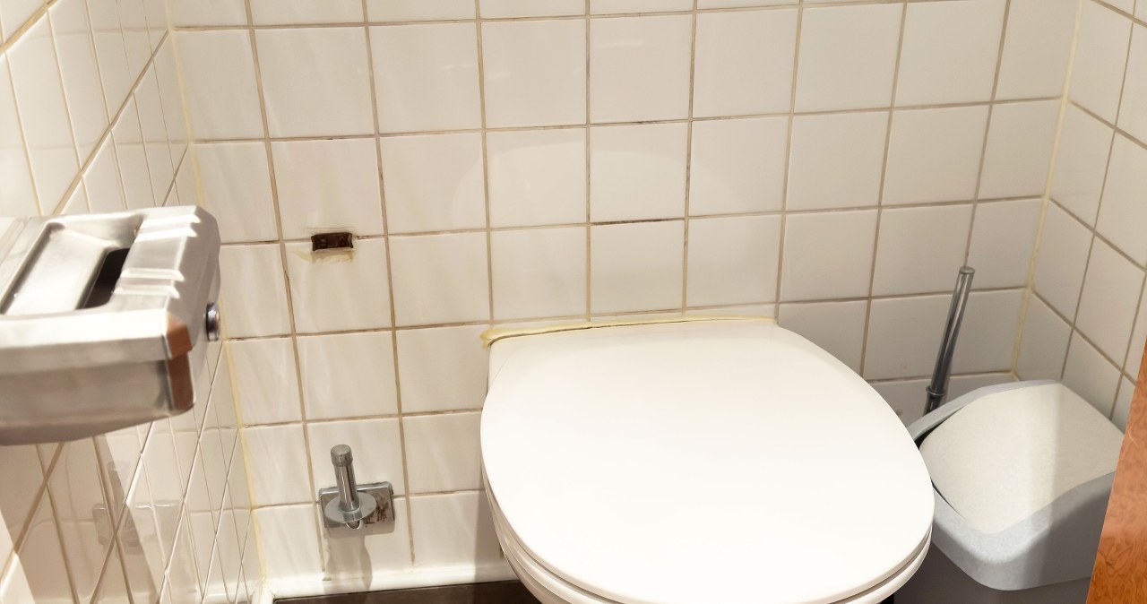 Brazylijczyk pokazał toaletę w Polsce. "Ile państw mogłoby mieć takie rzeczy?"