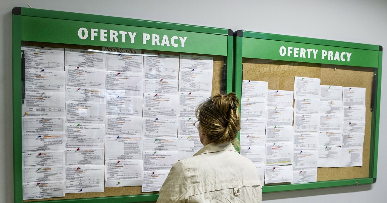 Płacą 3,2 tys. zł na tydzień za pracę przy zbiorach. Nie mają wymagań