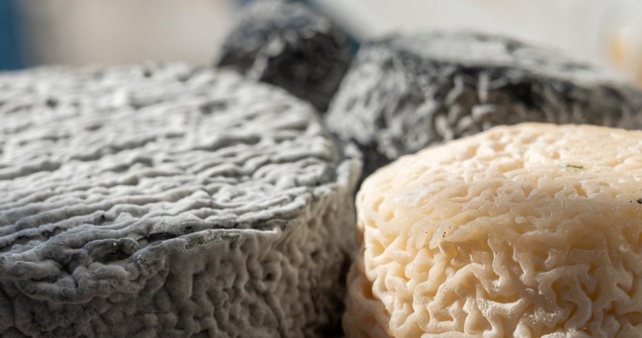 Genialna alternatywa twarogu. Serce, odporność i mózg będą działać za troje