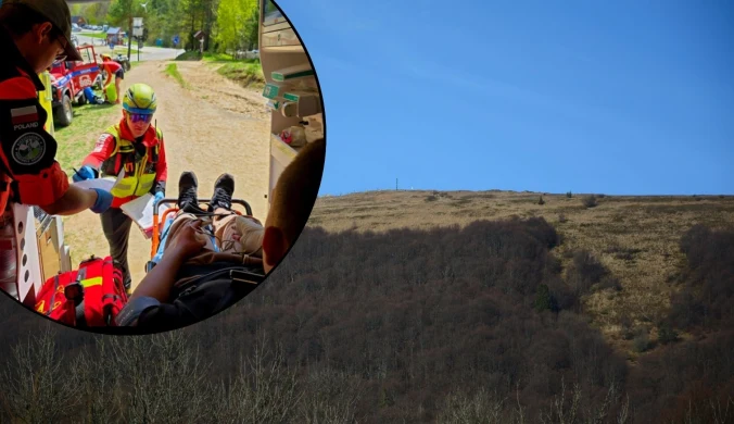 Żmija ukąsiła 16-latka. Bieszczadzkie służby apelują 