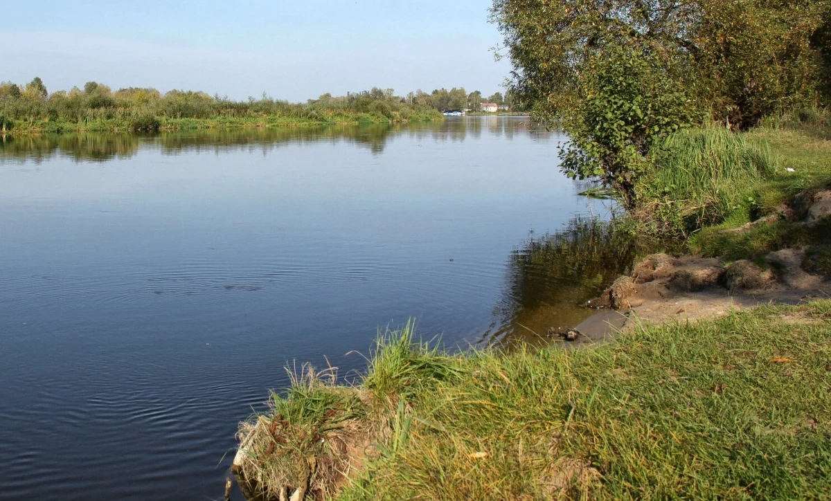 Ciała pięciu osób wyłowiono w kwietniu z rzeki Bug. Śledczy ustalają ich tożsamość i przyczyny śmierci. Prokuratura Rejonowa w Białej Podlaskiej czeka na opinie biegłych.